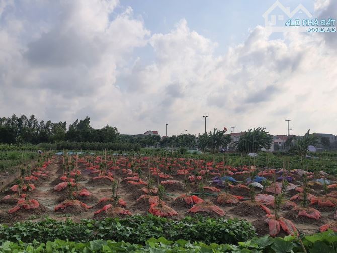 4129958 ảnh đại diện 1