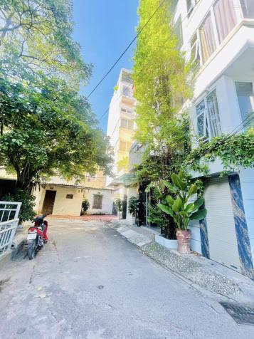 4127811 ảnh đại diện 1