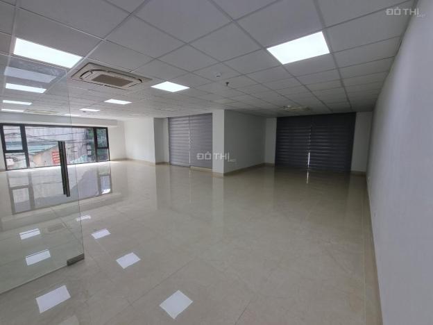 4126591 ảnh đại diện 1