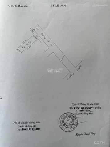 4124599 ảnh đại diện 1