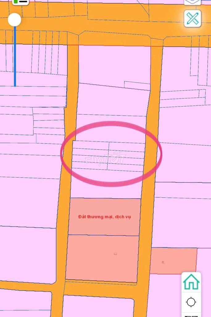 4125524 ảnh đại diện 1