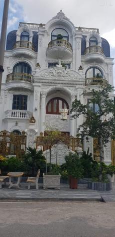 4129547 ảnh đại diện 1