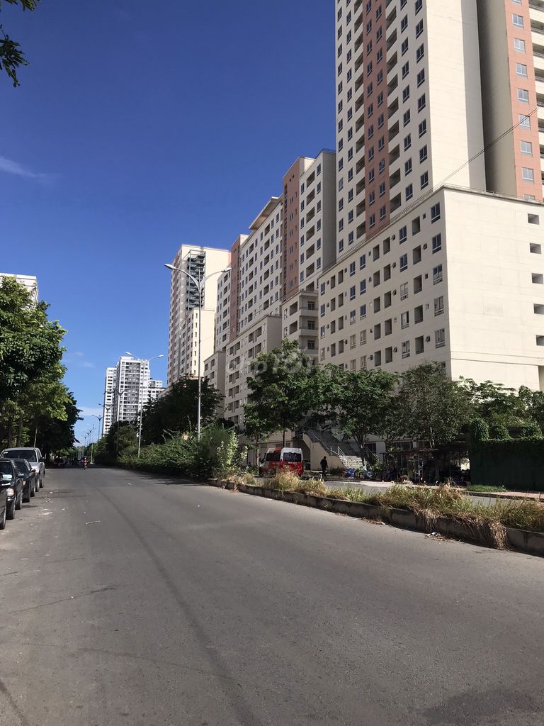 4128395 ảnh đại diện 1