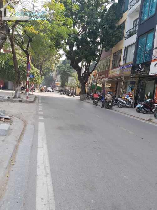 4128546 ảnh đại diện 1