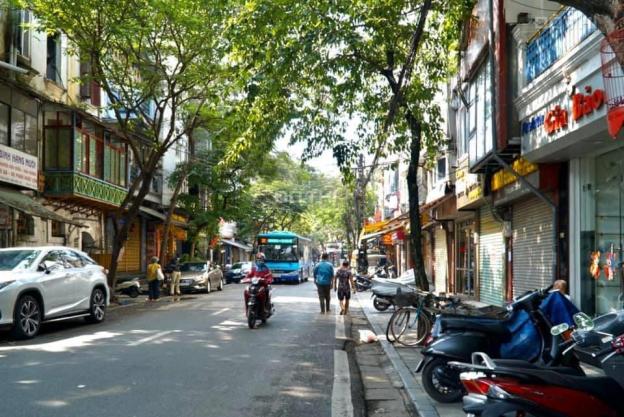 4125862 ảnh đại diện 2