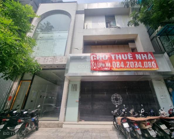 4126551 ảnh đại diện 2