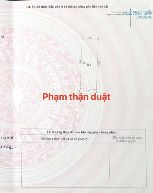 4128544 ảnh đại diện 1