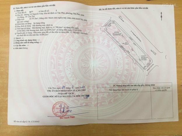 4129746 ảnh đại diện 1