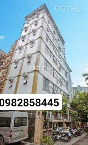 4129499 ảnh đại diện 1