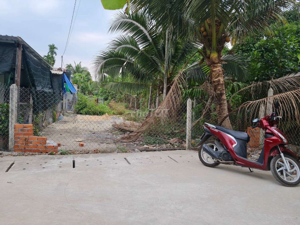 4126213 ảnh đại diện 1