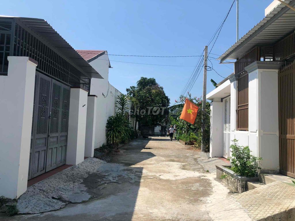 4124578 ảnh đại diện 2