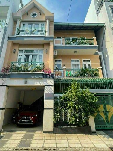 4125028 ảnh đại diện 1