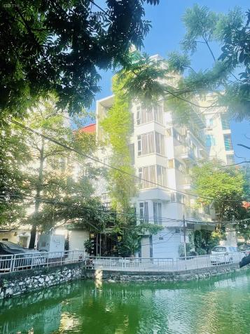 4127811 ảnh đại diện 1