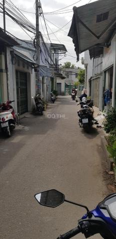 4124659 ảnh đại diện 1