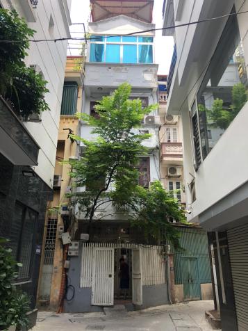 4128275 ảnh đại diện 1