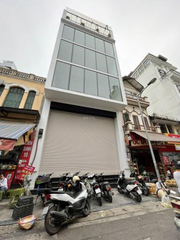 4125862 ảnh đại diện 1