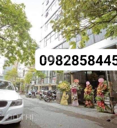 4129499 ảnh đại diện 1