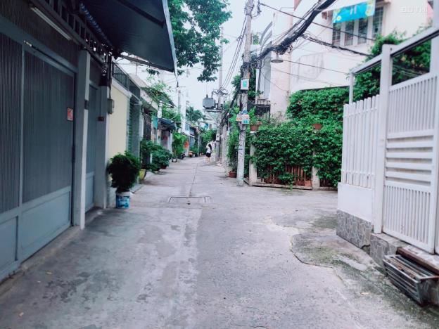 4124527 ảnh đại diện 2