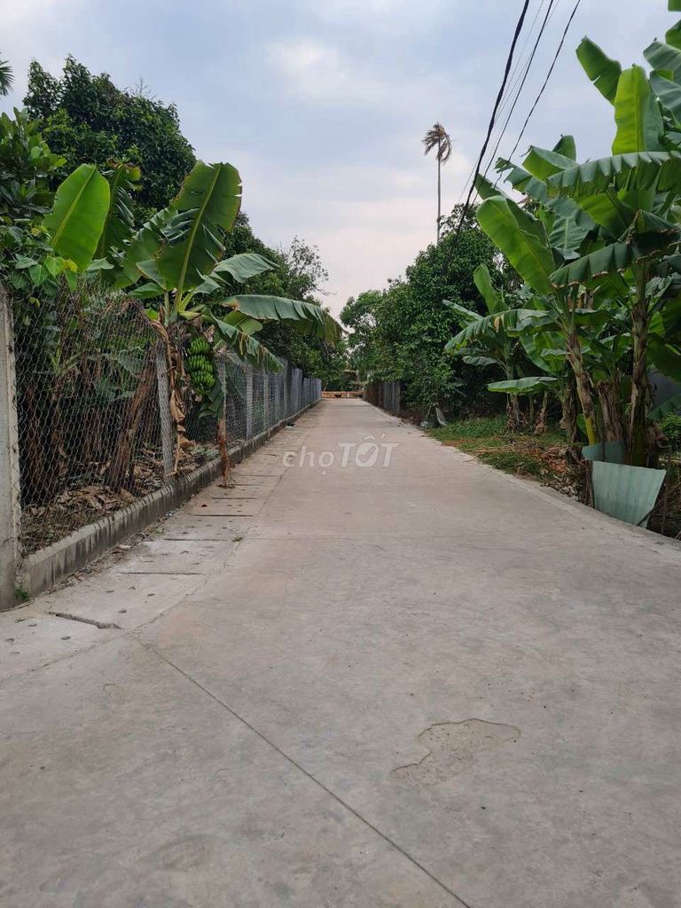 4126213 ảnh đại diện 2