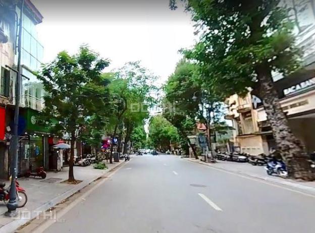 4127285 ảnh đại diện 1