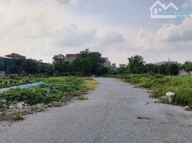 4129958 ảnh đại diện 1
