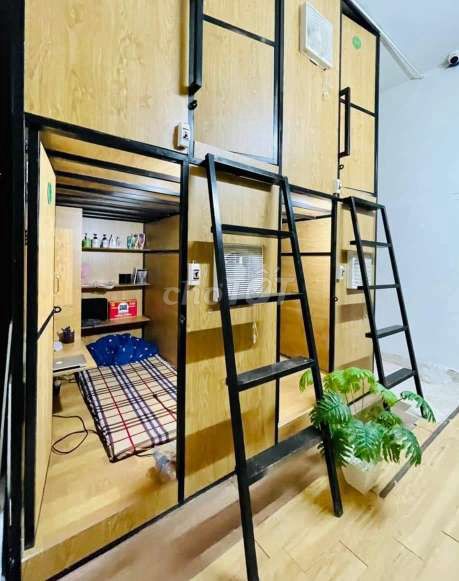4126905 ảnh đại diện 2