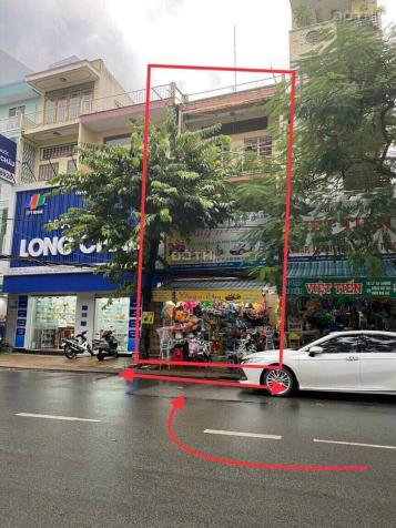 4124648 ảnh đại diện 1