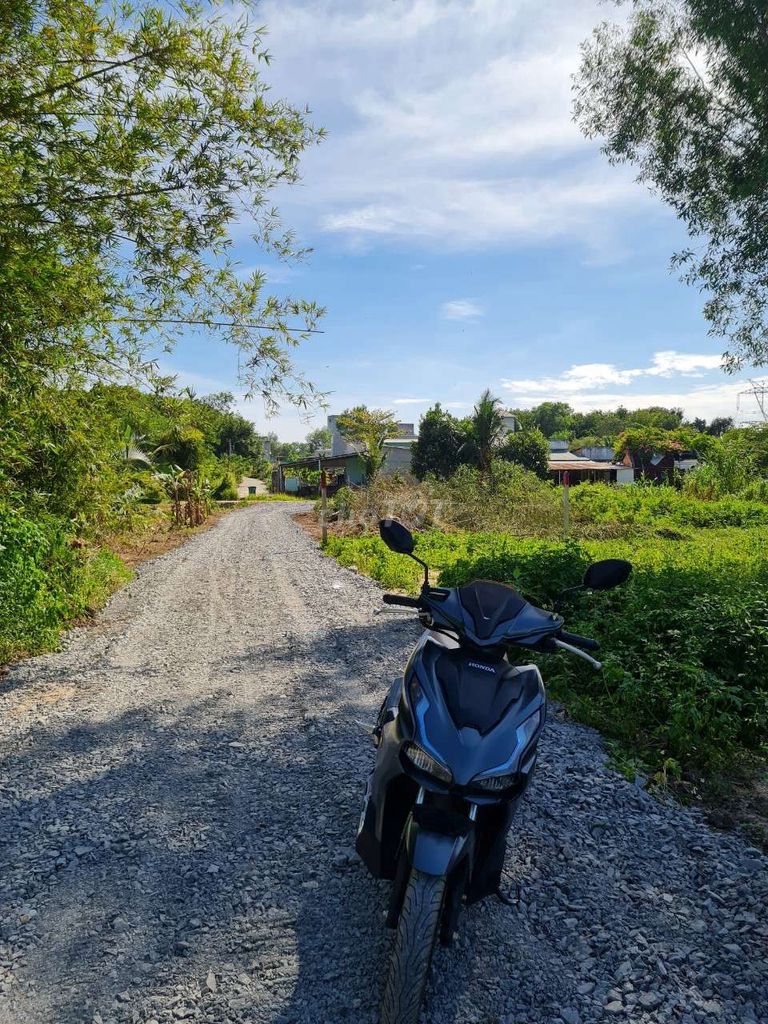 4126207 ảnh đại diện 2