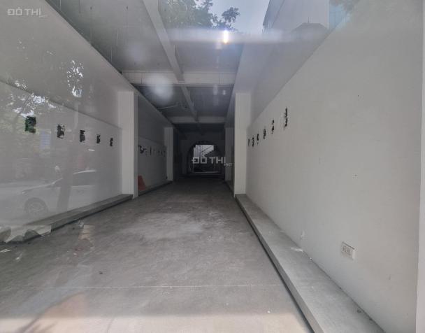 4126551 ảnh đại diện 1