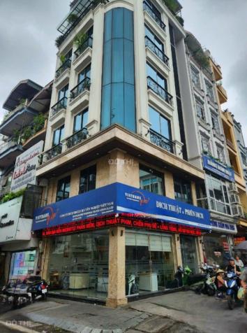 4129304 ảnh đại diện 1