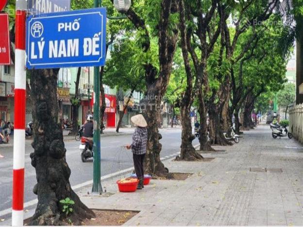 4125816 ảnh đại diện 1
