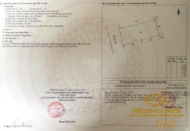 4129328 ảnh đại diện 2