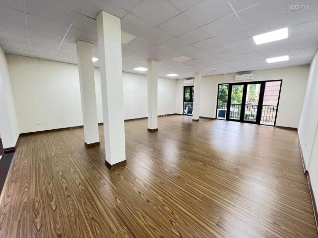 4125554 ảnh đại diện 2