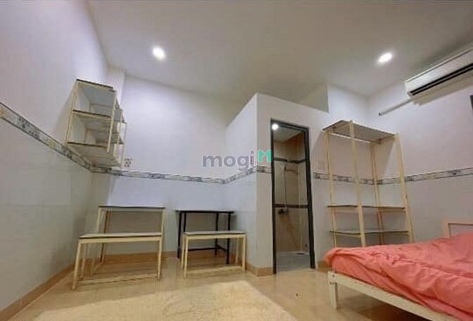 4126081 ảnh đại diện 2