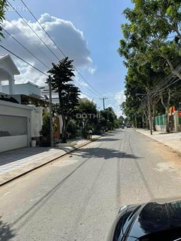 4126357 ảnh đại diện 1