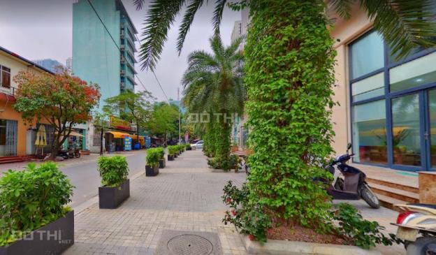 4129278 ảnh đại diện 1