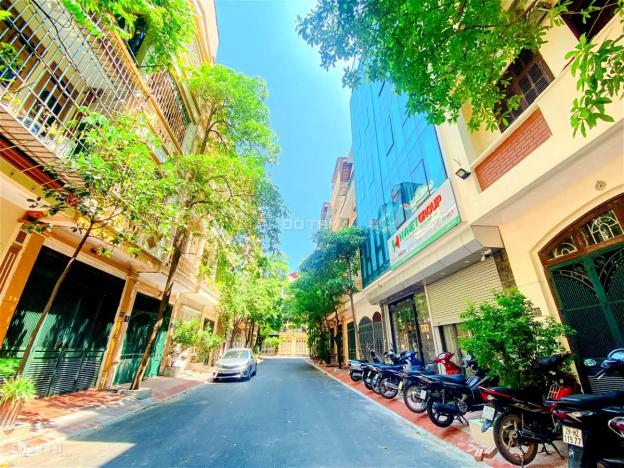 4128002 ảnh đại diện 1