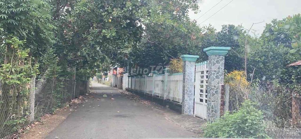 4125524 ảnh đại diện 1