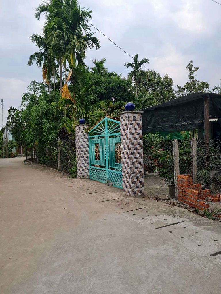 4126213 ảnh đại diện 1