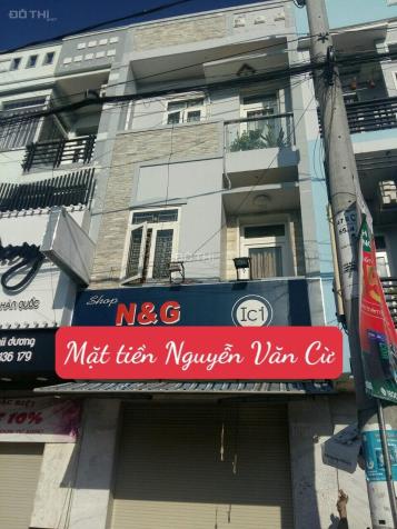 4124602 ảnh đại diện 1