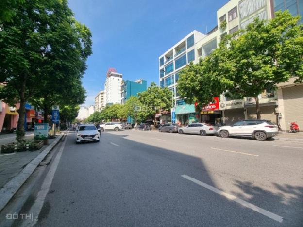 4126551 ảnh đại diện 1