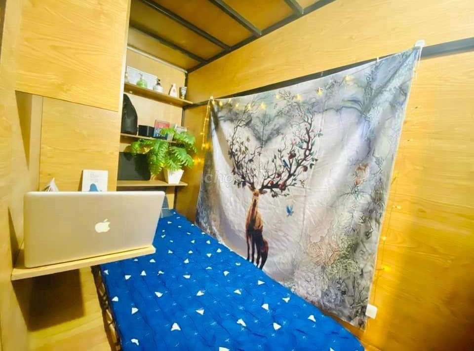 4126905 ảnh đại diện 1