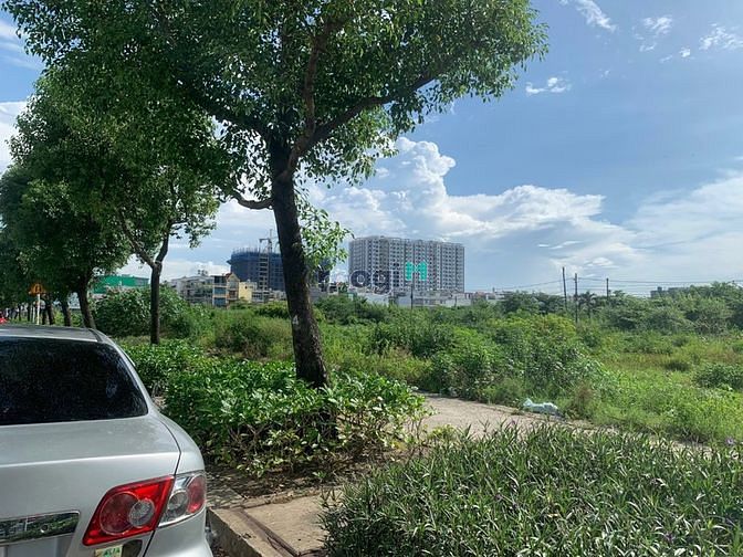 4131372 ảnh đại diện 1