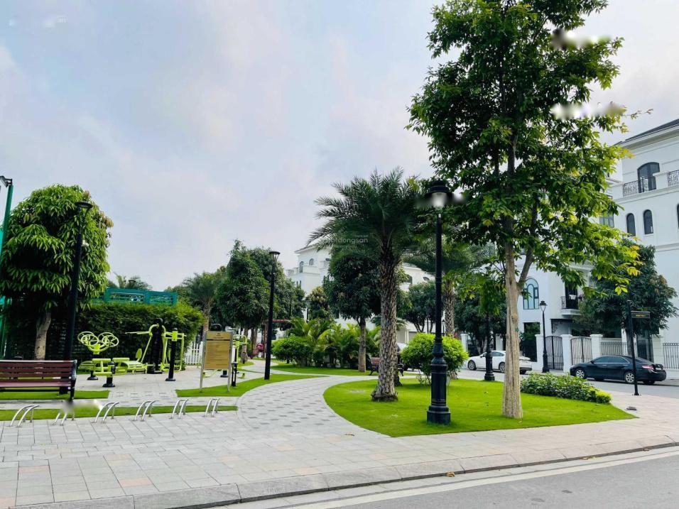 4132625 ảnh đại diện 2
