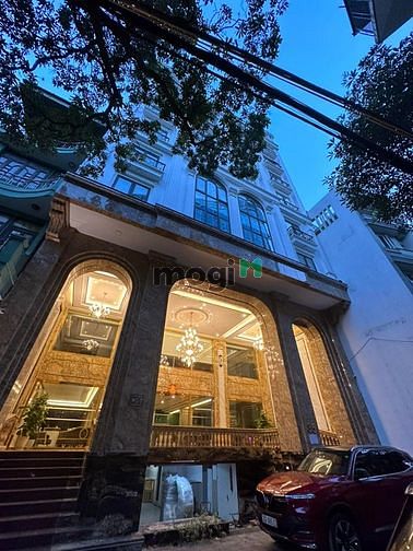 4131328 ảnh đại diện 1