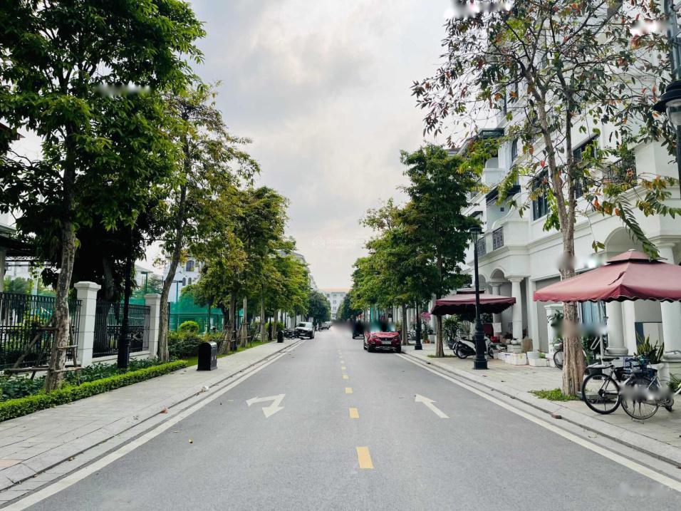 4132625 ảnh đại diện 1