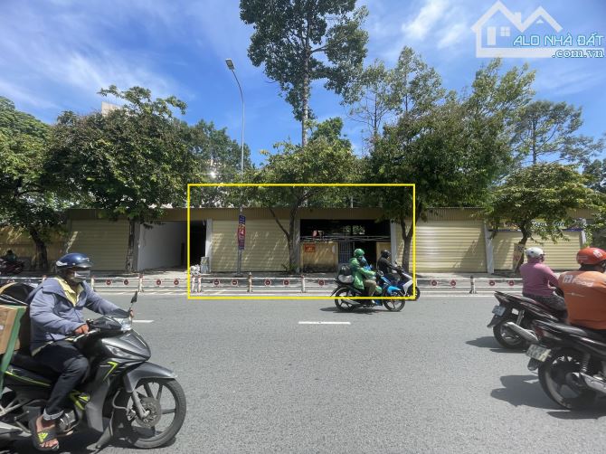 4132029 ảnh đại diện 2