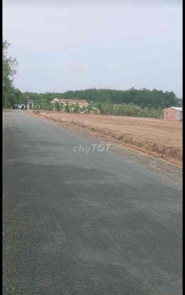 4130713 ảnh đại diện 1