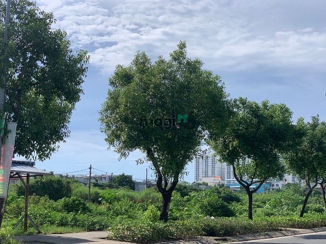 4131372 ảnh đại diện 1