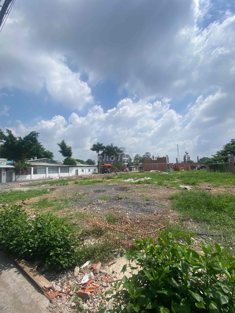 4130212 ảnh đại diện 2